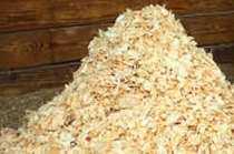 Pine Shavings