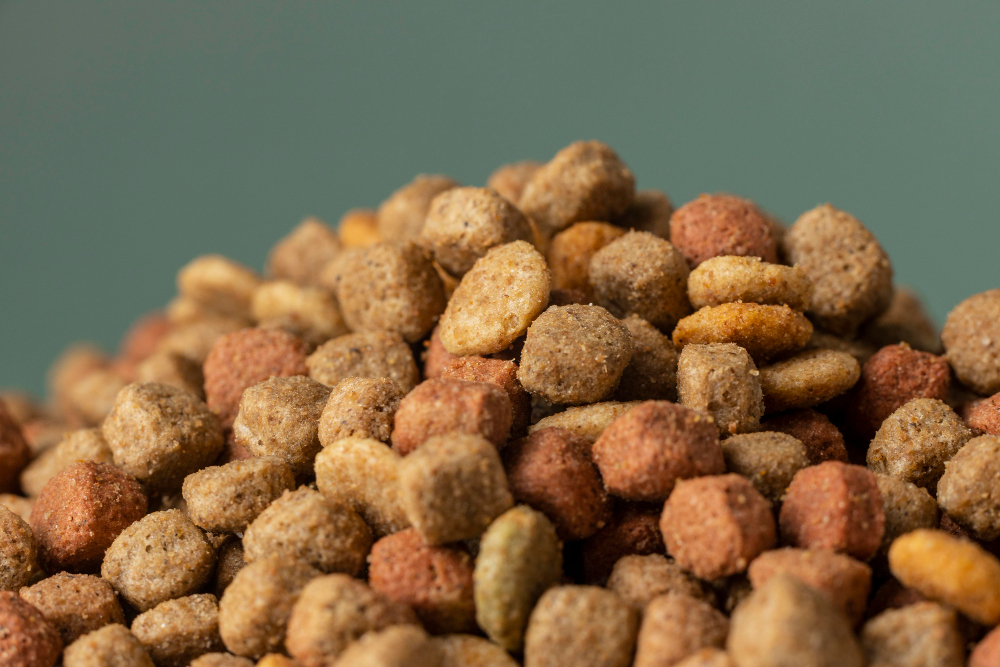 Pile of dry dog and cat food kibble