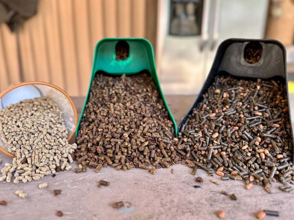 Three types of horse feed in feed scoops