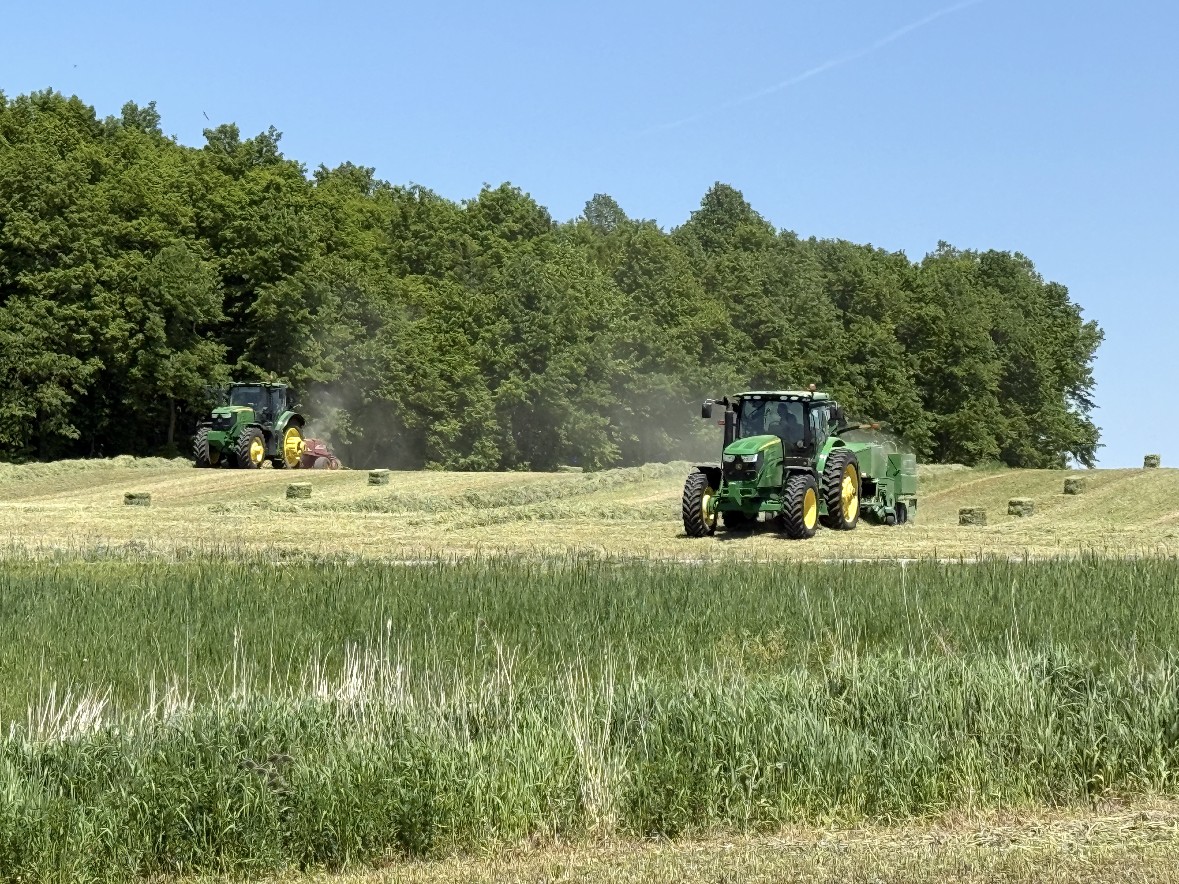 Tractors baling square hay bales in a timothy field